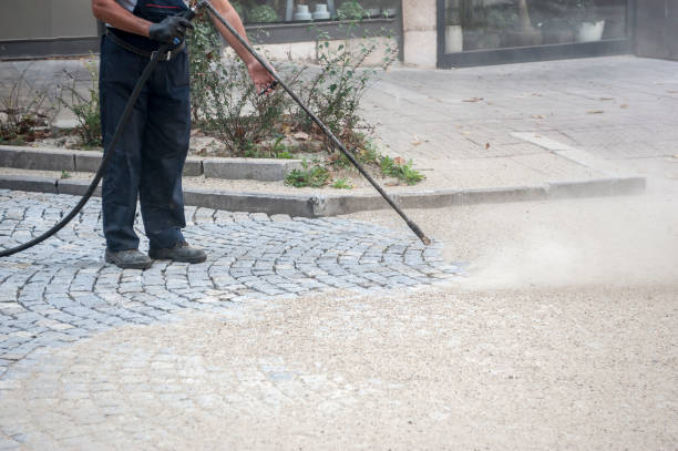 Best Oil Spill Cleanup  in Des Plaines, IL